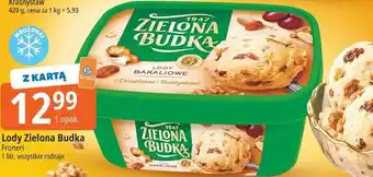 Lody Zielona Budka Froneri