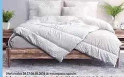 Biedronka Kołdra i poduszka Home Fantasy oferta