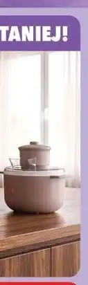 Biedronka Maszyna do lodów oferta