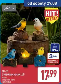 ALDI BELAVI Ćwierkający ptak LED oferta