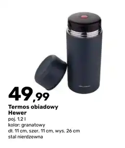 Bricomarche Termos oferta