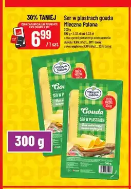 Polomarket Ser w plastrach Gouda Mleczna Polana oferta