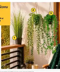 Bricomarche Kwiat sztuczny trawa ozdobna oferta