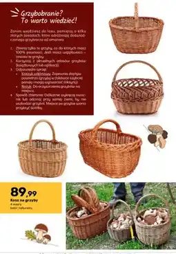 Bricomarche Kosz na grzyby oferta