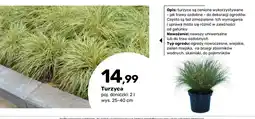 Bricomarche Turzyca oferta