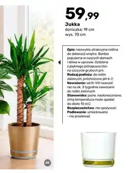 Bricomarche Jukka oferta