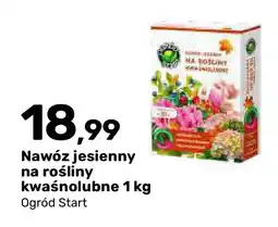Bricomarche Nawóz jesienny na rośliny kwaśnolubne Ogród Start oferta