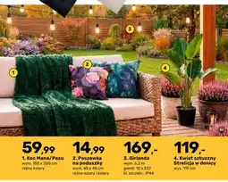 Bricomarche Koc Mana oferta