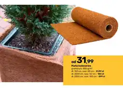 Bricomarche Mata kokosowa 150x50 cm oferta