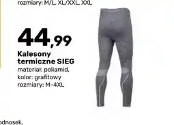 Bricomarche Kalesony termiczne SIEG oferta