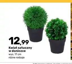 Bricomarche Kwiat sztuczny w doniczce oferta