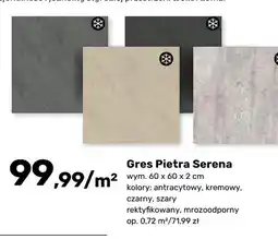 Bricomarche Gres Pietra Serena czarny 60x60x2 cm oferta