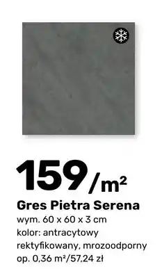Bricomarche Gres Pietra Serena antracytowy 60x60x3 cm oferta