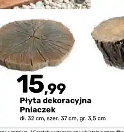 Bricomarche Płyta dekoracyjna Pniaczek oferta