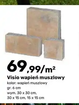 Bricomarche Płyta dekoracyjna Visio wapień muszlowy oferta