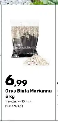 Bricomarche Grys Biała Marianna oferta