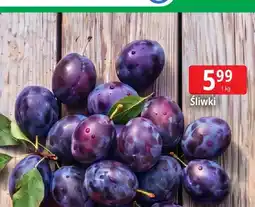 E.Leclerc Śliwki oferta