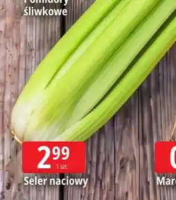 E.Leclerc Seler naciowy oferta
