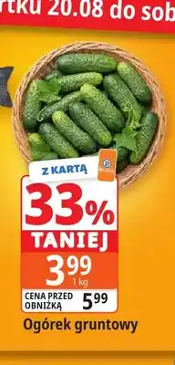 E.Leclerc Ogórek gruntowy oferta