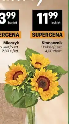 Delikatesy Centrum Słonecznik 3-pak oferta