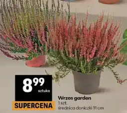 Delikatesy Centrum Wrzos garden oferta