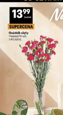 Delikatesy Centrum Goździk cięty 10-pak oferta