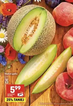 Delikatesy Centrum Melon galia oferta