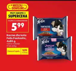 Biedronka Karma dla kota Felix oferta
