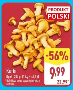 ALDI Kurki Polski oferta