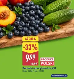 ALDI Borówki amerykańskie oferta