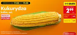 Biedronka Kukurydza oferta