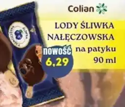 Hale Banacha Colian Lody Śliwka Nałęczowska oferta