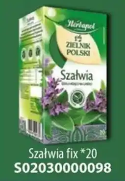 AT Herbapol Szalwia oferta