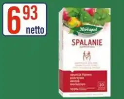 AT Spalanie oferta