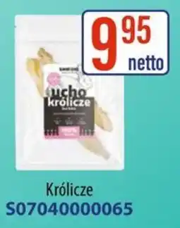 AT Ucho Królicze oferta