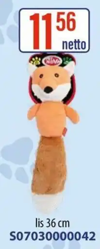 AT Kotek Fox oferta