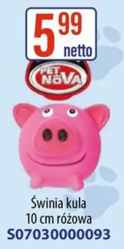 AT Pet Nova Świnią kula oferta
