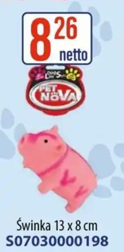 AT Świnka Pet Nova oferta