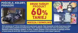 ALDI Pościele, kołdry, poduszki oferta