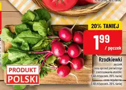 Polomarket Rzodkiewki oferta