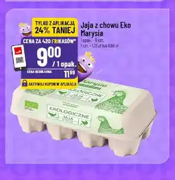 Polomarket Jajka kurze z chowu Eko Marysia 8 szt oferta