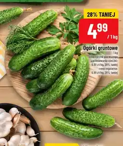 Polomarket Ogórki gruntowe oferta
