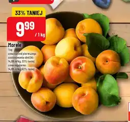 Polomarket Morele oferta