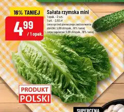 Polomarket Sałata rzymska mini oferta