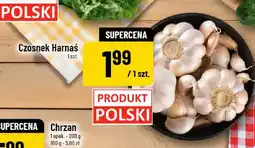 Polomarket Czosnek Harnaś oferta