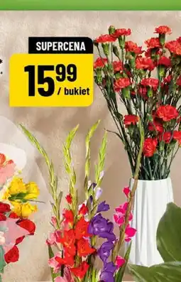 Polomarket Goździki 7-pak oferta