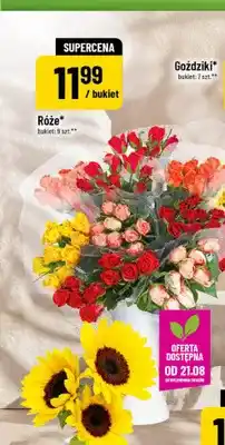 Polomarket Róże 9-pak oferta