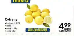 Makro Cytryny oferta