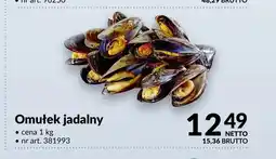 Makro Omułek jadalny oferta