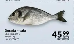 Makro Dorada cała oferta